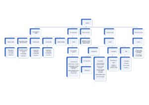 Organogram
